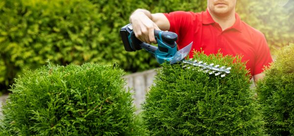 Cost of Hedge Shaping Service in Hendersonville